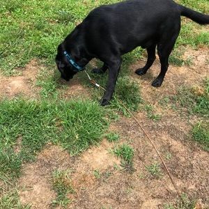 Meet your Posher, Beverly